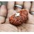 21 mukhi rudraksha silver plated pendant with metal chain  with lab certificate