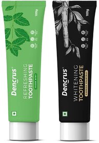 DENCRUS Charcoal  Mint Toothpaste Combo 100gms Each  Fluoride-Free  Toothpaste for Sensitive Teeth