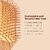 IMECO Bamboo Paddle Hair Brush Pack of 2, 100 Natural Wooden Comb, Detangling  Scalp Massaging Brush
