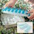 21 Cavity Pop Up Ice Cube Trays for Freezer with Lid with Easy Release Flexible Silicone Bottom Multicolor Silicone Ice
