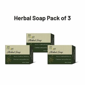 Co Cosveda Herbal Soap 100 GM Pack of 3