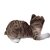Cat Cuddle Meow The Quirky Sound Cat Plush Toy Brown color