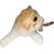 Goldie Meowster  with realistic cat sound perfect gift for small kdis