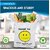 Daily Use Bag Gift Bag Completely Eco Friendly Bag Pack Of 50 Piece - Fabric Open Top White