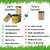 Kitchen Storage Containers