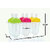 Hathrasmart 20 ml Manual Ice Cream Maker(Clear)
