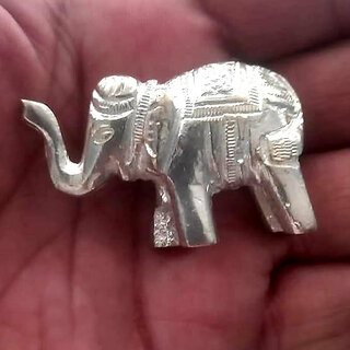 Astro-D, Silver Elephant, Hathi idol for Pooja, Vastu and Rahu (50 gm), (Silver, Silver) Astro-D, Silver Elephant, Hathi idol for Pooja, Vastu and Rahu (50 gm), (Silver, Silver)