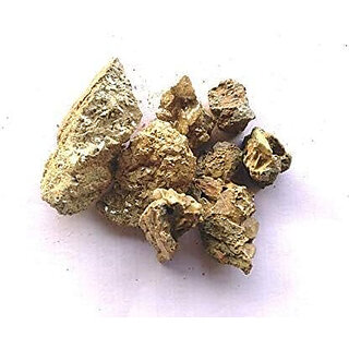 Astro-D Murdar Singh Pathar 100gm,Murdasingh/Murdar Sang/Litharge/Read Lead, (Multicolor, Stone) Astro-D Murdar Singh Pathar 100gm,Murdasingh/Murdar Sang/Litharge/Read Lead, (Multicolor, Stone)