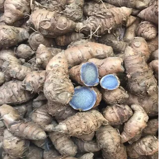                       Astro Pure/Original/Natural Kali/Black haldi Turmeric for Pooja 100 grams, (Green, Clay)                                              