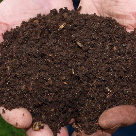 Organic Vermicompost 2 KG