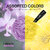 Bathing loofah Couples Pack of 2 (Purple and Yellow Color)
