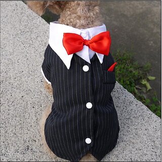 Hot New Pet Dog Cat Tuxedo Bow Tie Suit Puppy Dovetail Small Suit - (Black, XL) Hot New Pet Dog Cat Tuxedo Bow Tie Suit Puppy Dovetail Small Suit - (Black, XL)