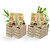IMECO Facial Pocket Tissue, 200 Pulls (10 Pulls Pack X 20) Combo Soft, Gentle  Travel-Friendly