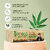 IMECO Facial Pocket Tissue, 100 Pulls (10 Pulls Pack X 10) Combo, Soft, Gentle  TravelFriendly