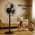 Double Safety Helsinki Pedestal Fan 600 mm