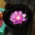 Tiny Shiny Floating Smokeless Lotus Flowers Sensor Led Candle for fastival decoration Candle Multicolor, Pack of 6
