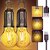 (Pack of 1) Rechargeable Camping Lights Waterproof LED Tent Lights with USB Cable 3 Modes Hanging Camping Lantern Hanging Lamp for Hiking Emergency Camping Household Car Repairing