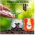3D Hologram King Maxx Turbo Gold Power Saver: Cut Electricity Bills by Up to 40% | Advanced Digital Energy Saving Technology for Home & Office Efficiency