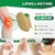 Knee Pain Relief Patches for Instant Relief  Natural Herbal Patches Sticker (Pack of 10)  Relief of Joint Pains Patch