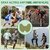 Knee Pain Relief Patches for Instant Relief  Natural Herbal Patches Sticker (Pack of 10)  Relief of Joint Pains Patch