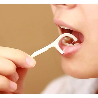 Pack of 10 Dental Toothpick Flossers  Toothpick Cleaners for Oral Care