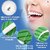 Dental Tooth Pick Flossers Toothpick Cleaners (Pack of 10 pcs)