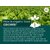 Simply Jaivik Unpolished Tur Dal (Arhar Dal)  Rich in Protein  Fiber, Naturally Sun-Dried, No Polishing (1kg)