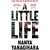 A Little Life Shortlisted for the Man Booker Prize 2015