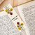 Faolo Bookmarks for Books  Set of 30 Pieces  Double Sided Matte Finished Laminated, 30 Unique Designs (Elegant)