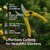 Garden Pruning Shears for Plants Stainless Steel Sharp Blade Cutter with Safety Lock  Ergonomic Grip Handle Multi Color