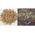 60 PICS HYBRID VEGETABLE TOMATO SEEDS
