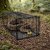 Rat Trap, Iron, Non-Spring Type, Black, 32x16.5x15 cm, 826g, for Catching Rats and Mice, 1 Qty