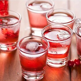 ELVEN Round Shot Glass for Vodka Shot  Tequila Shot  Liquor Shot  Made of Glass  40ml  Set of 6