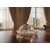 Crystal Turtle with Decorative Plate  Vastu  Feng Shui Showpiece