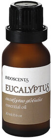 Indoscents Eucalyptus Globulus Essential Oil 20ml  Fresh Cooling Aromatherapy Oil for Diffusers  Home Fragrance
