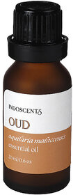 Indoscents Oud Essential Oil 20ml  Aromatherapy Oil for Diffuser, Home Fragrance, Spa, Meditation  Relaxation