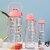 Motivational Water Bottle Set (2000ML, 1000ML & 500ML) BPA-Free Leakproof Bottles with Straw 3-in-1
