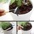 Mini Gardening Tools Kit  Set of 3 Pcs - (Shovel, Spade  Rake) with Wooden Handle for  Home  kitchen garden