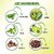 Kudos Amla, Reetha, Shikakai Shampoo (Pack of 2)