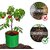 (Pack of 5) GML Grow Bags 12x12 inches, 240 GSM Strong, Terrace Gardening Vegetable Planting Bag