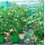(Pack of 5) GML Grow Bags 12x12 inches, 240 GSM Strong, Terrace Gardening Vegetable Planting Bag