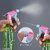 (Pack of 5) Plastic Spray Gun - Garden & Home Use (Multicolor)