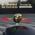 Flying Bird Wind Powered Car Mirror Decoration with Flapping Wings