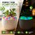300 Pcs Luminous Aquarium Pebbles Glow Stones for Fish Tank Garden  Pot Decor