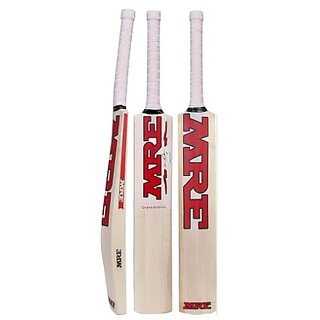 Popular Willow Cricket Bat for Kids
