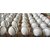 (2Pcs) Leather Cricket Ball Size Standard (White)