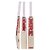 Popular Willow Cricket Bat for Kids