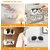 (Pack of 2) Wall-Mounted Display Case with Adhesive, No-Drill Specs Holder, White Plastic Stand