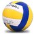 Volleyball for Training  Practice