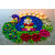 (Pack of 10) Rangoli Powder (Multicolor)